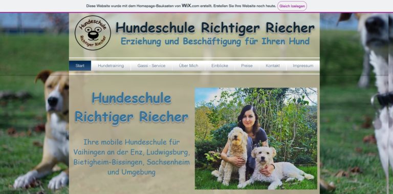 alexandrarohe4.wixsite.com  768x381