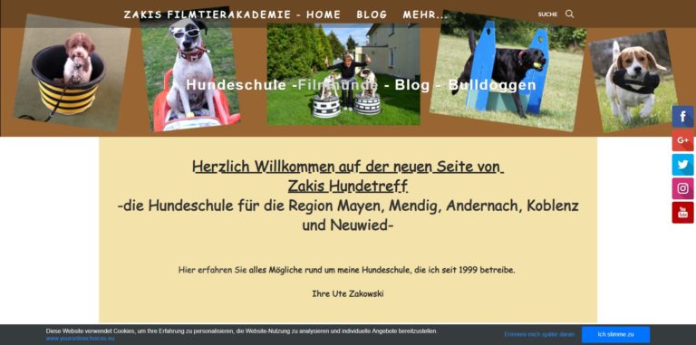 americanbulldog tricks.de  768x381