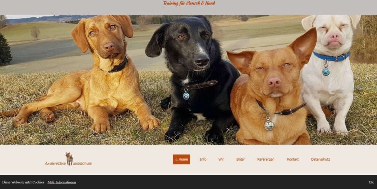 artgerechte hundeschule.de  768x386
