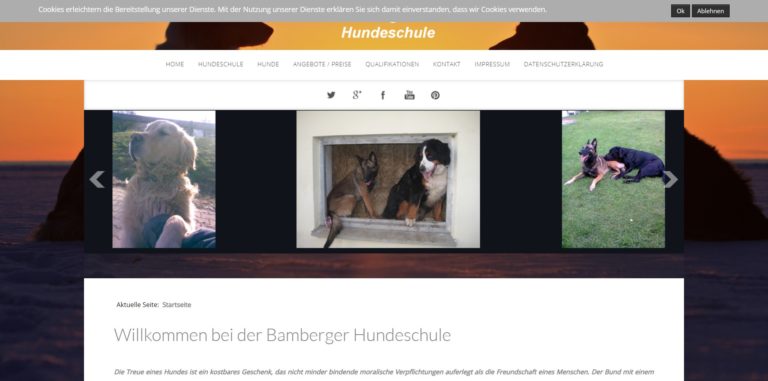 bamberger hundeschule.de  768x381