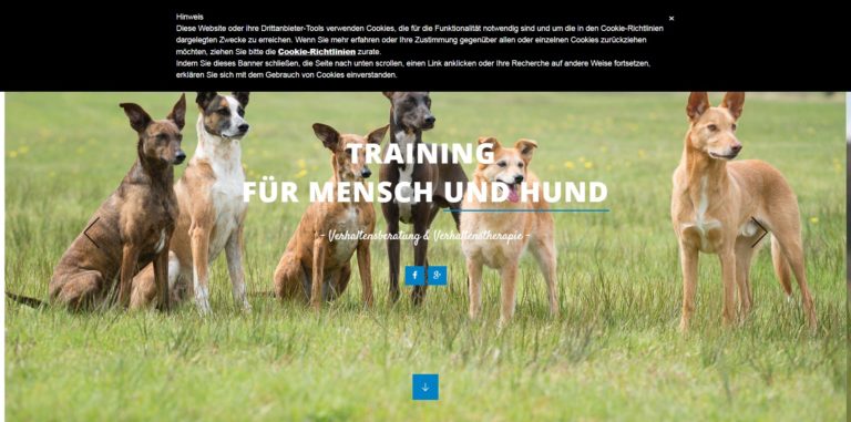 beatemarr.de  768x381