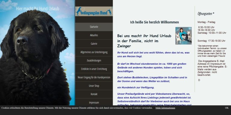 bedingungslos hund.de 768x381