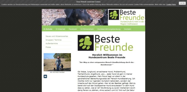 bestefreunde.com  768x381
