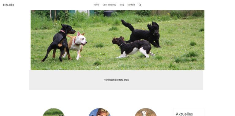 beta dog.de 768x381