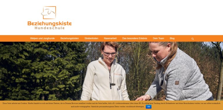 beziehungskiste hundeschule.de  768x381