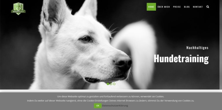 bindungscoach.de 768x381