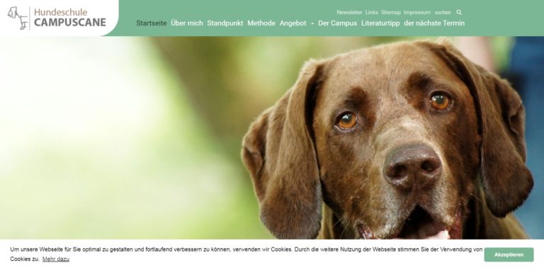 campuscane.de 768x381