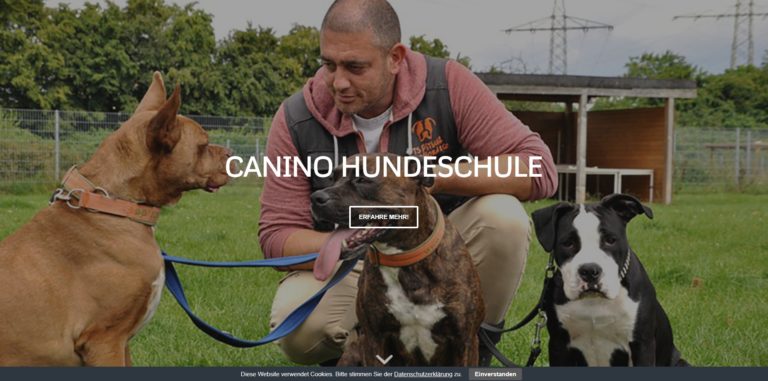 canino hundeschule.de 768x381