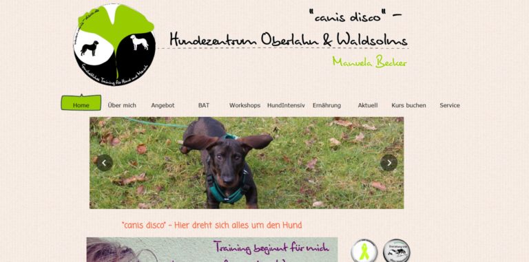 canis disco.de  768x381