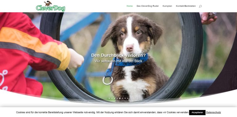 cleverdog.de  768x381