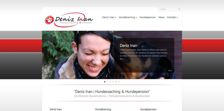 denizinan.de 768x381