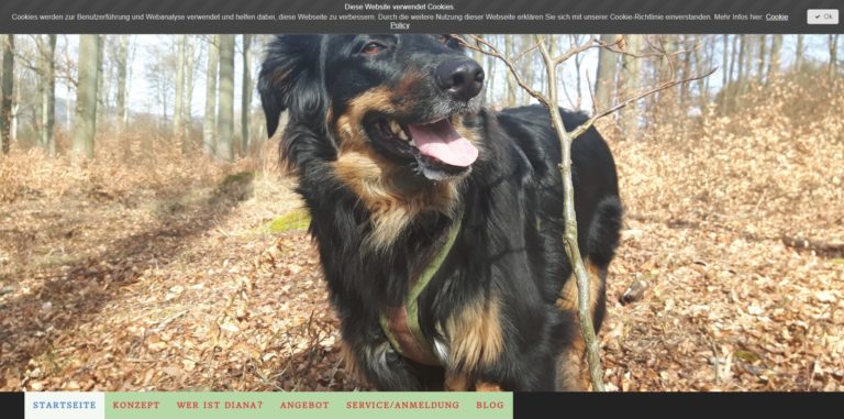 dianas hundeschnauzen.de 768x381