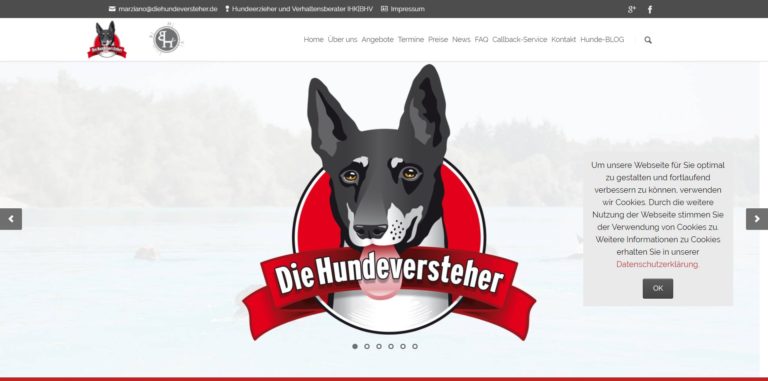 diehundeversteher.de  768x381