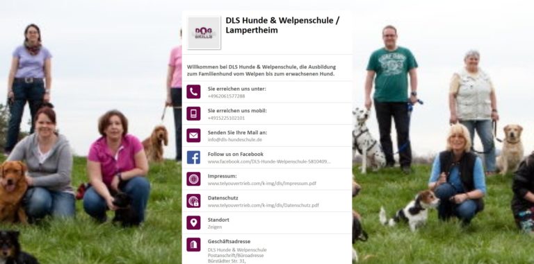 dls hundeschule.tel  768x381