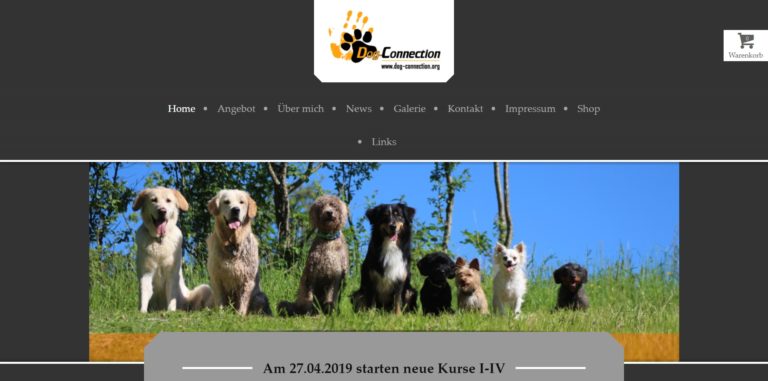 dog connection.org  768x381