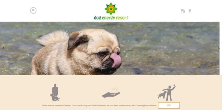 dog energy resort.de  768x381