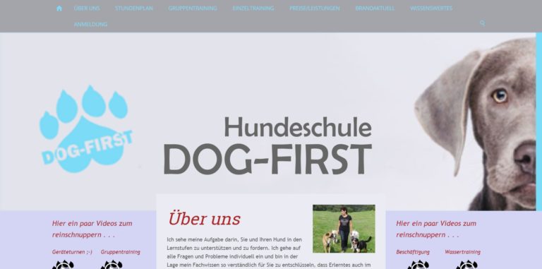 dog first.de  768x381