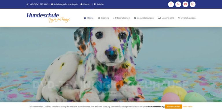 dog for fun training.de  768x381