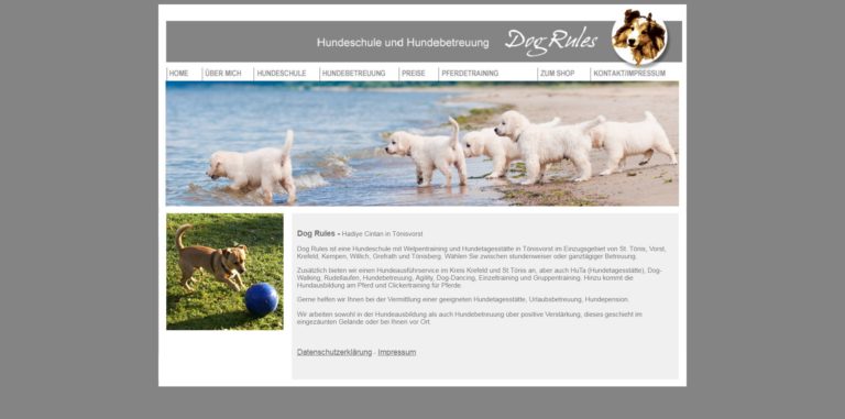 dog rules.de  768x381
