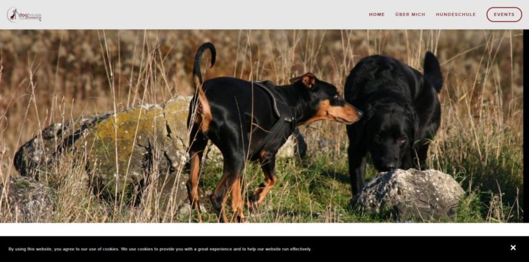 doghouse wirger.de  768x381