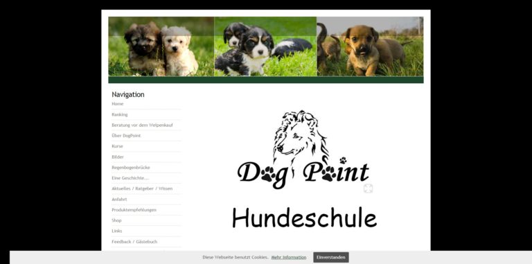 dogpoint hundeschule.de 768x381