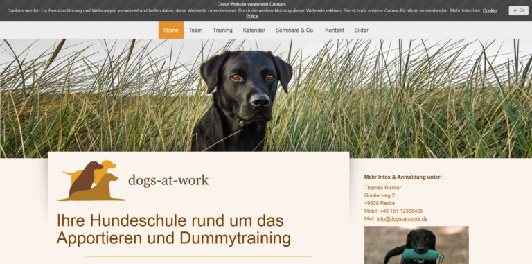 dogs at work.com  768x381