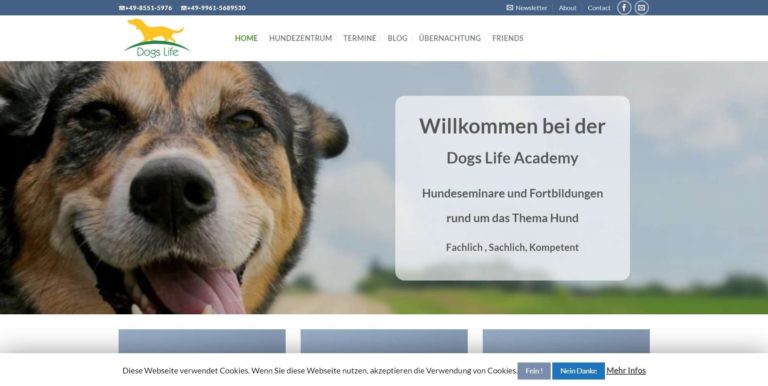 dogs life academy.com  768x386