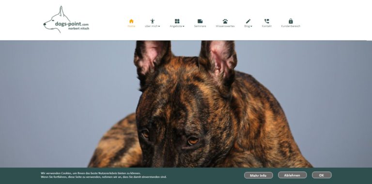 dogs point.com index.html 768x381