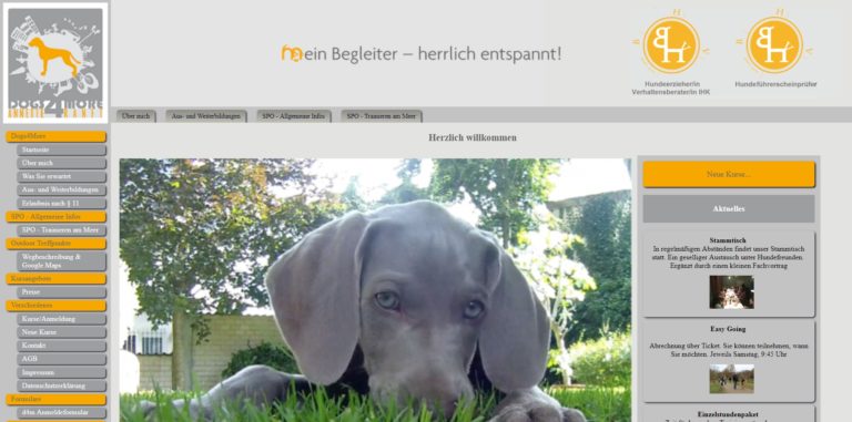 dogs4more.com 768x381