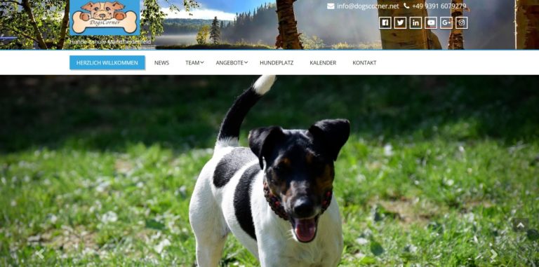 dogscorner.net  768x381