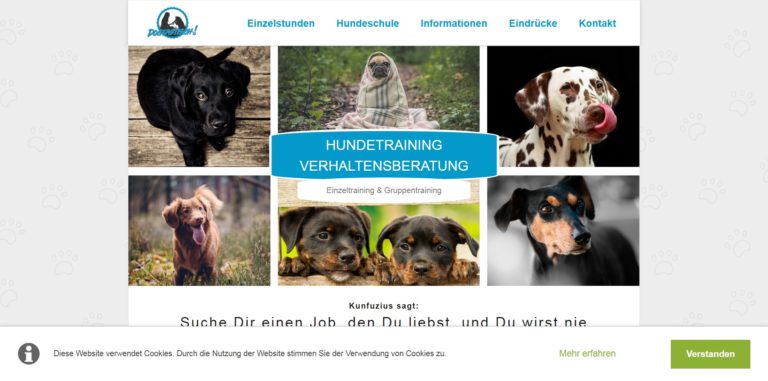 dogtastisch.com  768x381
