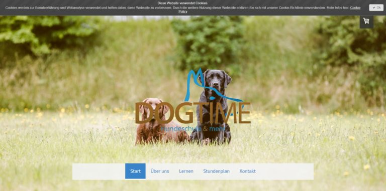 dogtime hundeschule.de  768x381