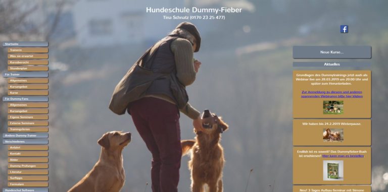 dummy fieber.de 768x381