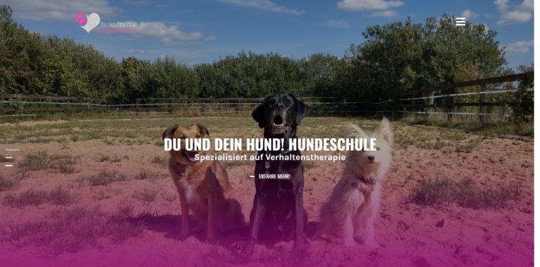 duunddeinhund.de  768x381