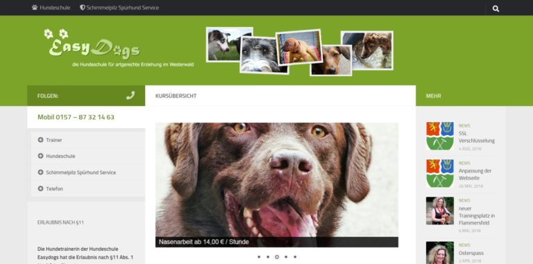 easydogs.de  768x381