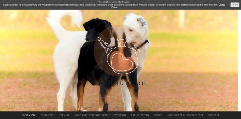 fairbunden mit hund.de 768x381