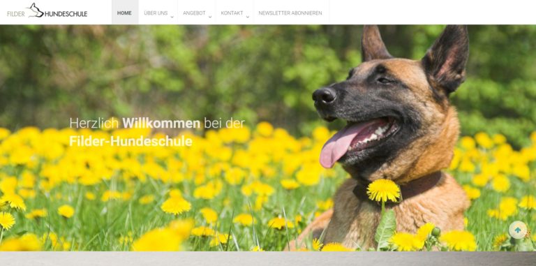 filder hundeschule.de 768x381