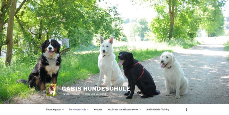 gabishundeschule.de  768x386