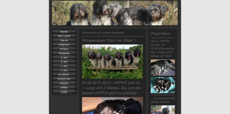 glory van wippi.de 768x381