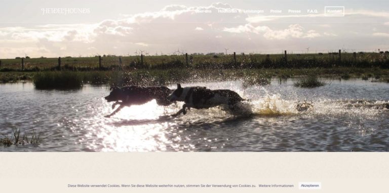 heidelhounds.de  768x381