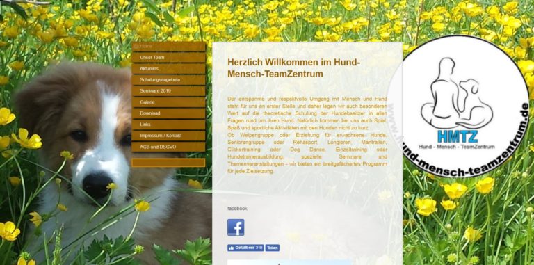 hund mensch teamzentrum.de 768x381