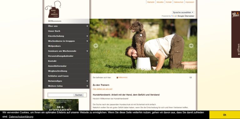 hund mit mensch schule.de  768x381