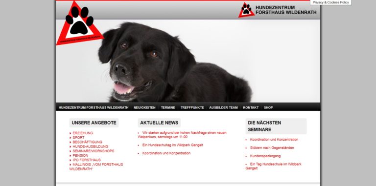 hunde lynn.de  768x381