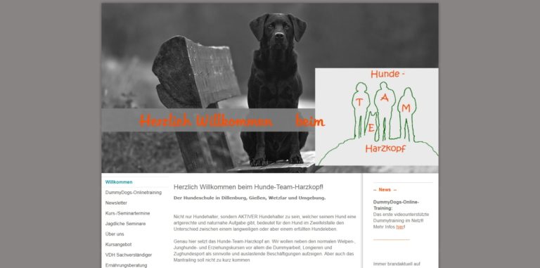 hunde team harzkopf.de  768x381