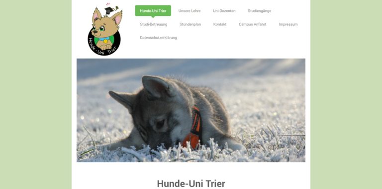 hunde uni trier.de 768x381