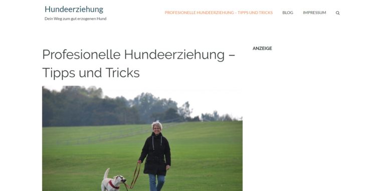 hundeerziehungpro.de  768x381