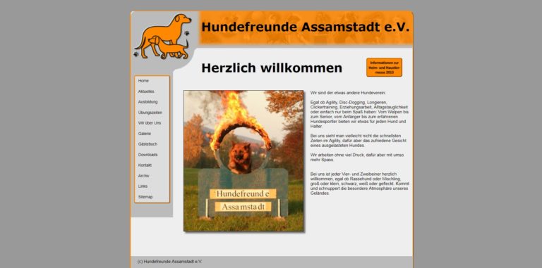 hundefreundeassamstadt.de  768x381