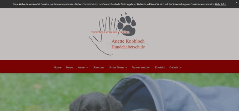 hundehalterschule.com  768x357