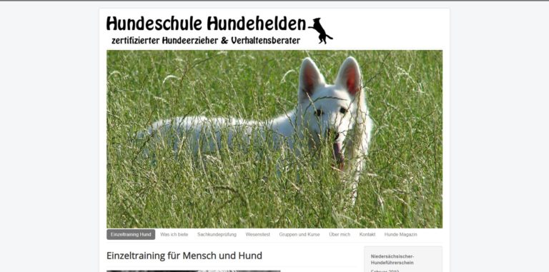 hundehelden.com  768x381