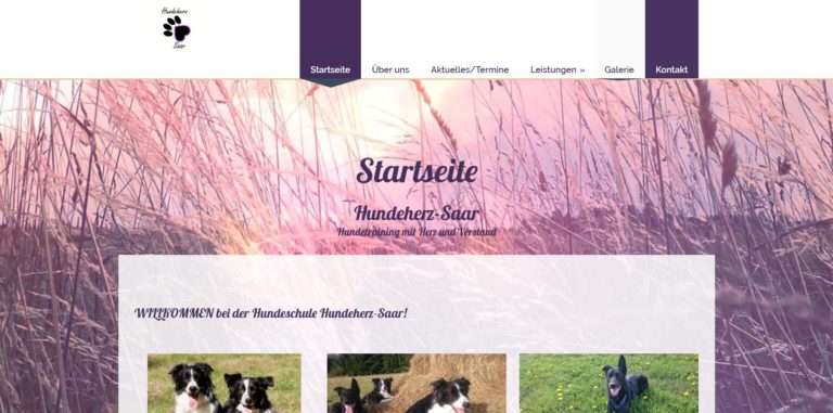 hundeherz.saarland 768x381